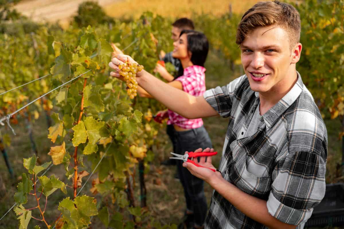 Bijzondere dagen augustus: internationale dag van de jeugd